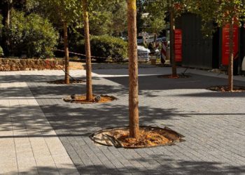 Pogledajte kako izgleda novi pločnik sa stablima u srcu Lapada (FOTO)