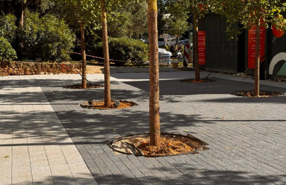 Pogledajte kako izgleda novi pločnik sa stablima u srcu Lapada (FOTO)