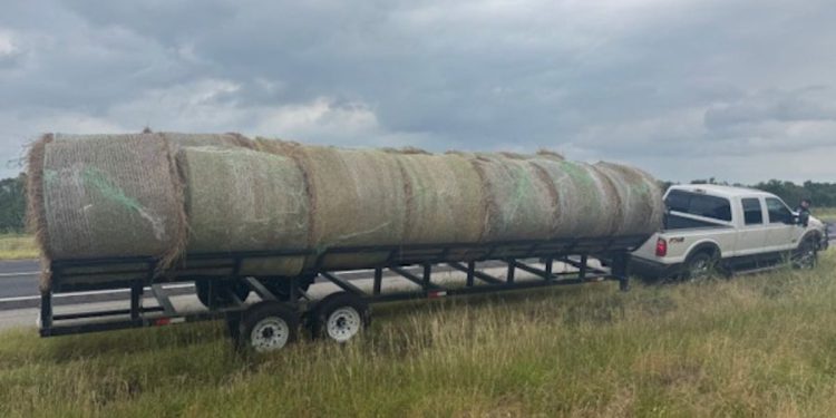 Policija zaustavlja nevinu prikolicu-samo kako bi otkrila operaciju krijumčarenja u izdubljenim balama sijena