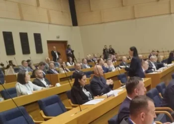 Političarke u BiH na meti komentara o fizičkom izgledu, majčinstvu i braku