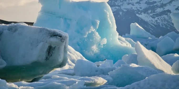 Polovica svijeta prošle je godine bila suočena s dodatnih mjesec dana toplinskog vala