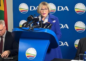 ‘Rasni zakoni’ koji potiču ulagače iz Južne Afrike – stranka – RT Afrika