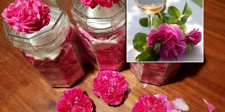 STAĐON OD ROZOLINE Recepti dubrovačkog primorja