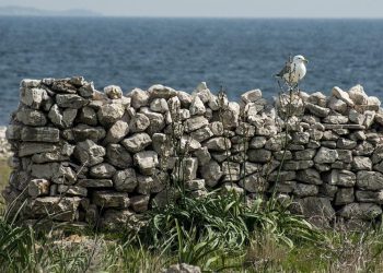 Ručne bombe i eksplozivna sredstva pronađena u suhozidu!