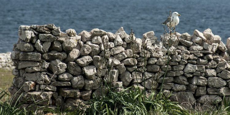 Ručne bombe i eksplozivna sredstva pronađena u suhozidu!