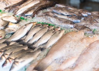 Rusija će od 12. svibnja zabraniti uvoz ribljih proizvoda iz EU zbog odbijenih inspekcija