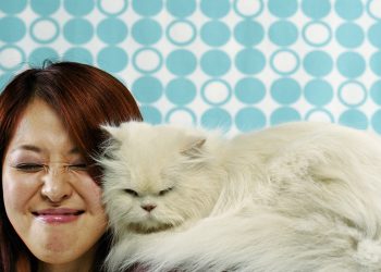 Ruski istraživači razvijaju proboj cjepiva za alergiju na mačke – RT Rusija i bivši Sovjetski Savez