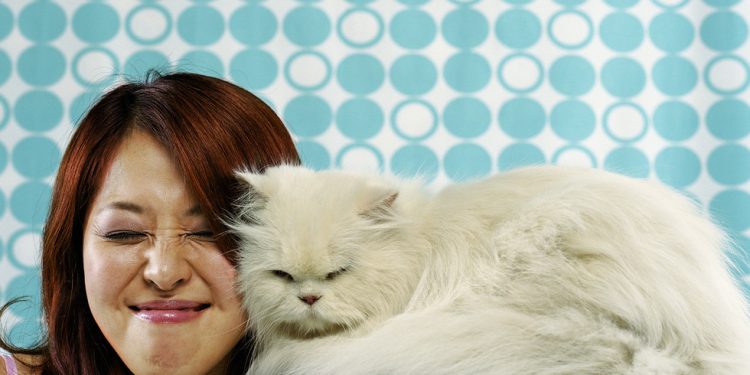 Ruski istraživači razvijaju proboj cjepiva za alergiju na mačke – RT Rusija i bivši Sovjetski Savez