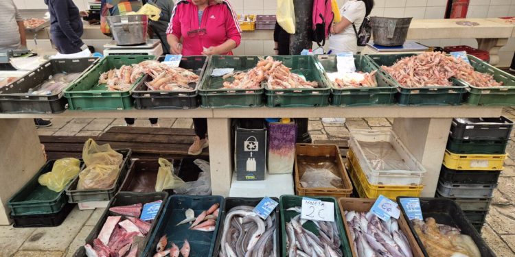 SVEGA BLAGA NA SPLITSKOJ PEŠKARIJI Evo što je sve danas u ponudi, požurite po ručak