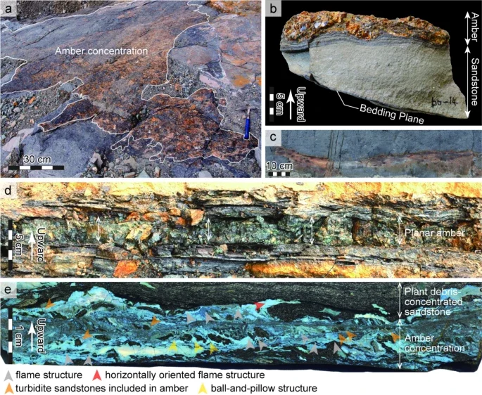 Istraživači su pogledali drevni oceanski sediment i pronašli moguće dokaze o cunamiju