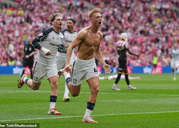 Sheffield United 1-2 Sunderland: Crne mačke promovirane su u Premier ligu nakon posljednjeg pobjednika Toma Watsona u iznosu od 200 milijuna funti