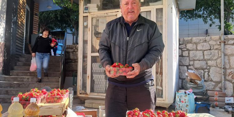 Šibenski – Milan na šibenskoj pijaci prodaje slavonske jagode koje idu odlično