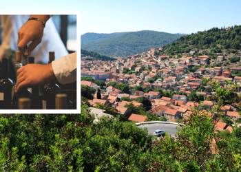 Slobodna Dalmacija – Ova rijetka i neobična sorta domaćeg vina proda se u trenu! Postala je zaštitni znak naše čarobne vinske destinacije