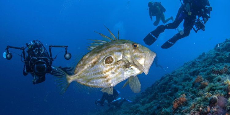 Slobodna Dalmacija – Splitska ustanova nudi posao iz snova na ovom otoku; ukoliko ste spremni na novi korak u životu, pročitajte detalje…