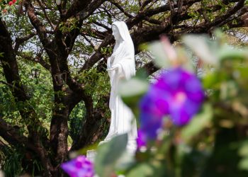 Snažna pobožnost: Ovu molitvu je Gospa tražila da se proširi po svijetu