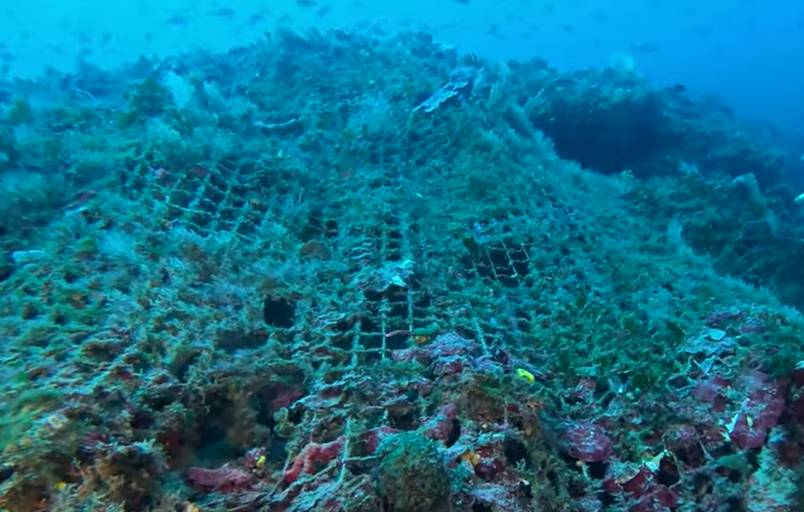 VIDEO Vrijedna akcija čišćenja podmorja oko otoka Premude: "Izgubljeni i odbačeni ribolovni alati ugrožavaju ovu oazu života!"