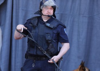 Sportske novosti – Spriječeni još veći problemi na Poljudu: Policija privela sumnjivog navijača, izdali ga ‘trbušnjaci’