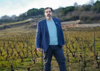 Spriječimo ekocid vinograda na Pelješcu – slušajmo građane!