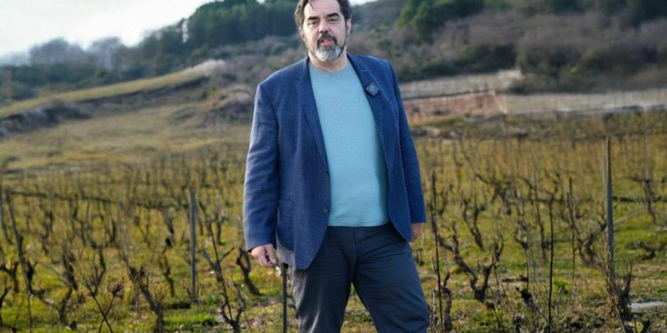 Spriječimo ekocid vinograda na Pelješcu – slušajmo građane!