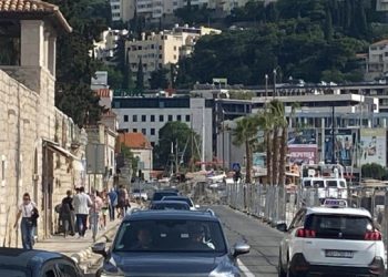 Stigle palme u Gruž – Dubrovački dnevnik