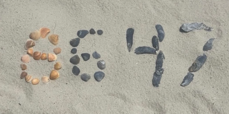 Što znači 8647? ‘Kodeks’ koji je s tajnom službom sletio James Comey u vruću vodu