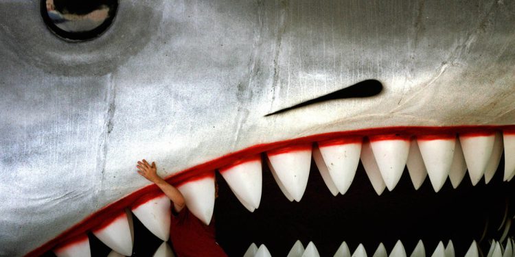 Stručnjak za javnu politiku hvali filmske čeljusti (čak i s manama) za pomoć (nakon nanošenja štete) morskih pasa