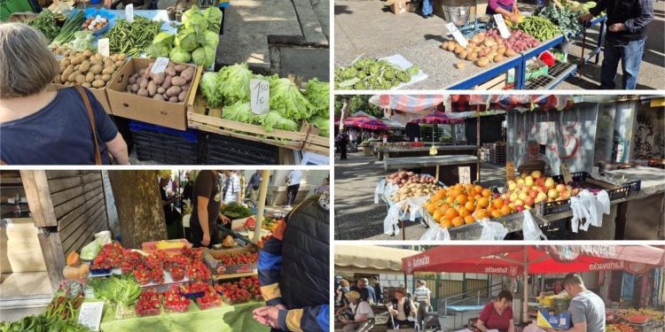 Subotnja vreva na splitskom Pazaru: Jagode skuplje nego lani, ali i dalje tražena poslastica