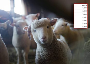 TROŠKOVI “REPREZENTACIJE” Je li načelnik općine Okrug na Čiovu po gostionicama pojeo cijelo stado janjetine na račun građana?!