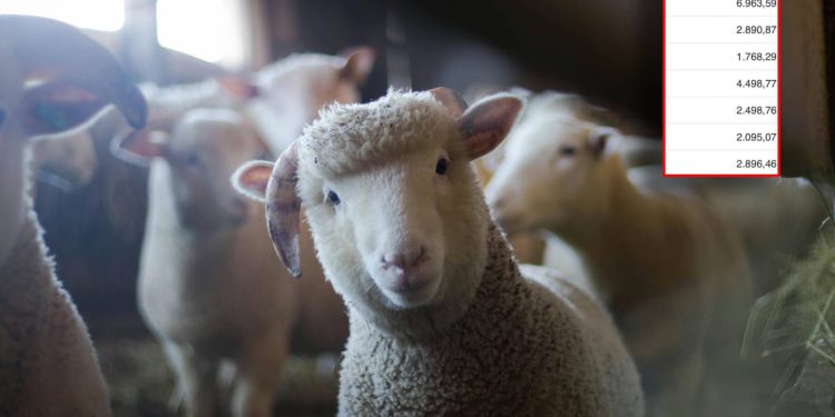 TROŠKOVI “REPREZENTACIJE” Je li načelnik općine Okrug na Čiovu po gostionicama pojeo cijelo stado janjetine na račun građana?!