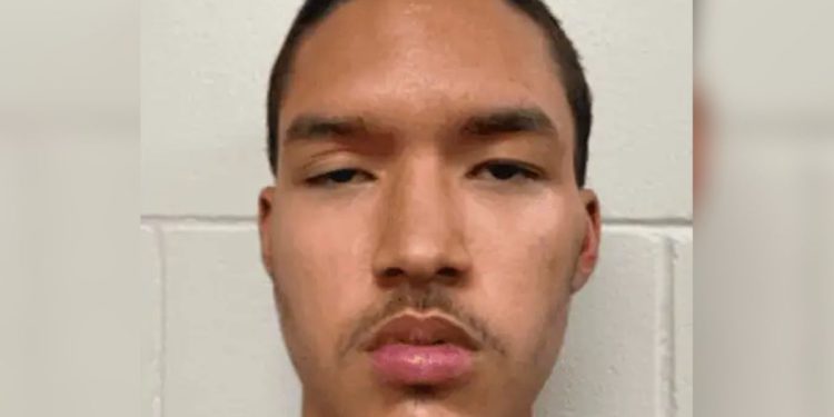 Tinejdžer je ubodio 81-godišnju cimericu 113 puta u ustanovu za pomoć u životu nakon što je čuo glasove koji mu govore da to radi