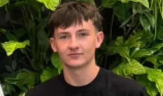 Tinejdžer mrtav nakon sudjelovanja u najnovijem sportu sudara koji zdravstveni stručnjaci žele zabraniti da je previše opasan