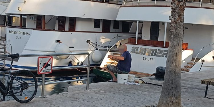 Tko će danas jesti ciple govnjare?