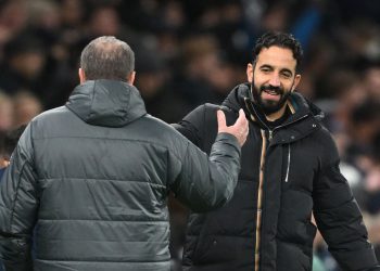 Tottenham Manchester United: vatreno finale