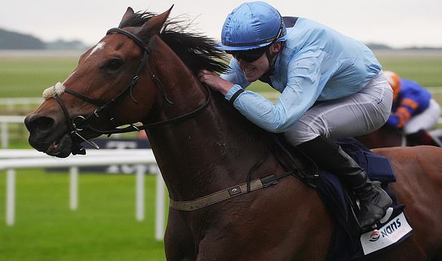 Trkački savjeti Robin Goodfellow: Najbolje oklade za utorak, 27. svibnja