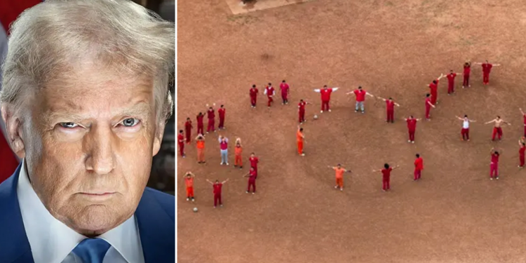 Trump DHS slama više “SOB STORE” izvještavajući o ilegalnim članovima bandi