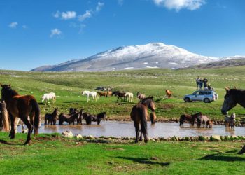 Tužba zbog koncesije u Livnu: Ugroženo pravo na pitku vodu stotina mještana