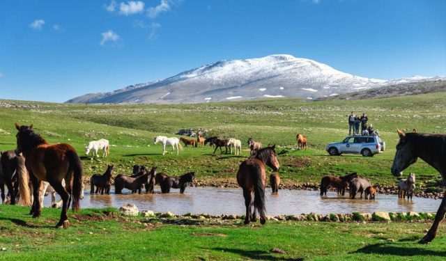 Tužba zbog koncesije u Livnu: Ugroženo pravo na pitku vodu stotina mještana