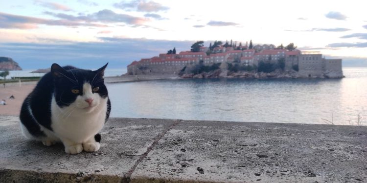 U Crnoj Gori ozbiljno razmišljaju skratiti radno vrijeme na sedam sati