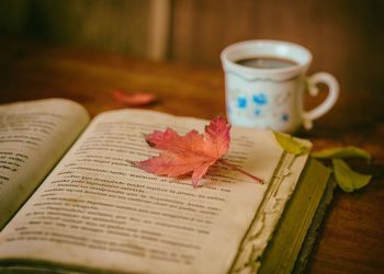 U KAŠTEL KAMBELOVCU Nastavlja se program Đardina čitanja