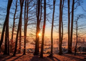 U narednim danima temperature do 28 stupnjeva, neizbježni lokalni pljuskovi