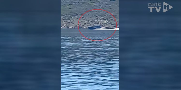 UNATOČ ZABRANI Glisiranje carine ispod Krčkog mosta