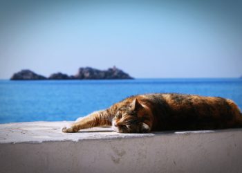 UTIJAVANJE NA HLADNO Vrag je u detalju!