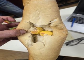 Uhićen 58-godišnjak: Prenosio heroin skriven u štruci kruha