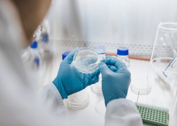 Upozorenje na gljivu ubojice koje bi moglo zaraziti milijune dok se širi po Europi