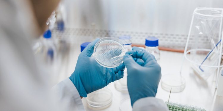 Upozorenje na gljivu ubojice koje bi moglo zaraziti milijune dok se širi po Europi