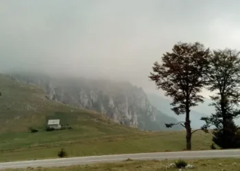 VIDEO Medvjed napao muškarca na Vlašiću