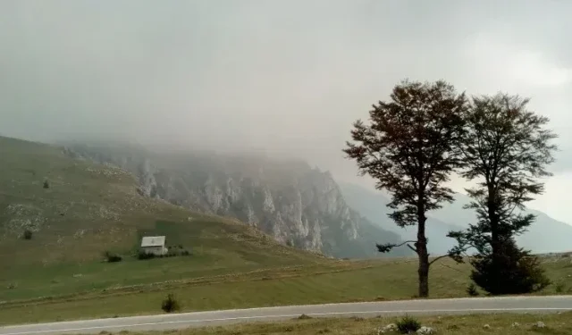 VIDEO Medvjed napao muškarca na Vlašiću