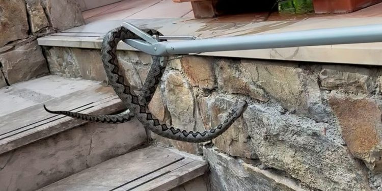 Vatrogasci u Žrnovnici su imali posla: “Ozbiljni gost”