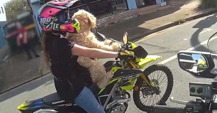 Vožnja biciklista s psom vezanim za nju povukao je policajac | Vijesti