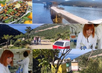 ZNANSTVENI IZAZOV DANAŠNJICE Mušule s Pelješca će pokazati koliko je radioaktivnosti u našem moru